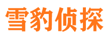 从江侦探